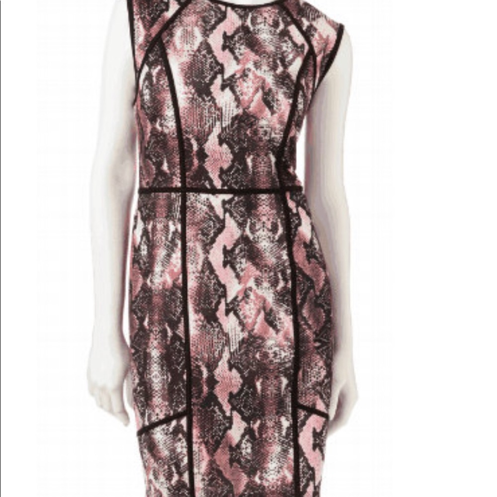 Jennifer‎ Lopez Snakeskin Ponte Sheath Dress